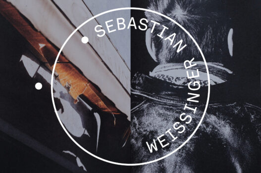 Sebastian Weissinger Logo