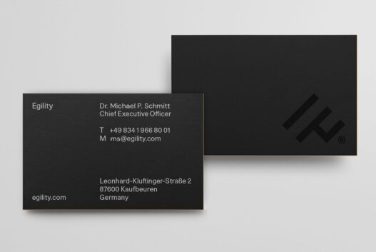 Egility Business Card